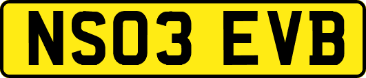 NS03EVB
