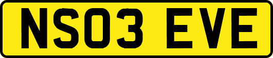 NS03EVE