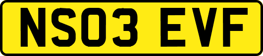 NS03EVF