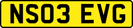 NS03EVG