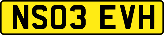 NS03EVH