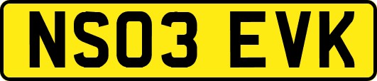 NS03EVK