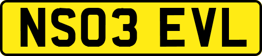 NS03EVL
