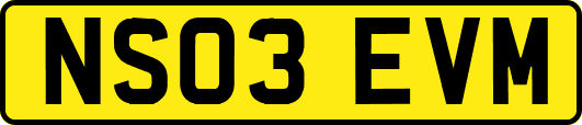 NS03EVM