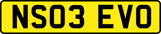 NS03EVO