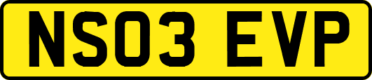 NS03EVP