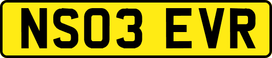 NS03EVR