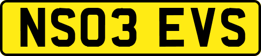 NS03EVS