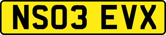 NS03EVX