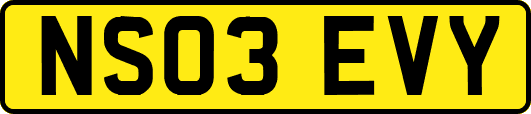 NS03EVY