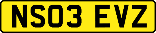 NS03EVZ