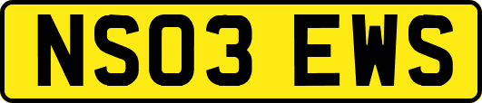 NS03EWS