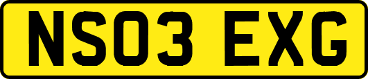 NS03EXG
