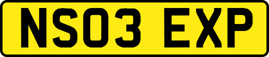 NS03EXP