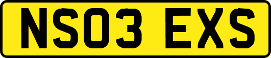 NS03EXS