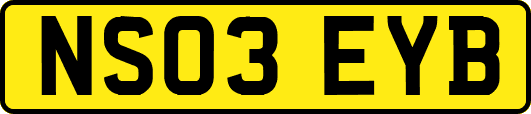 NS03EYB