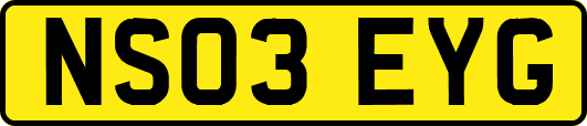 NS03EYG