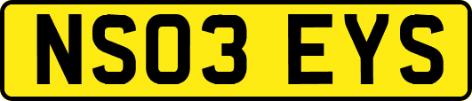 NS03EYS