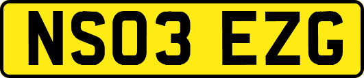 NS03EZG