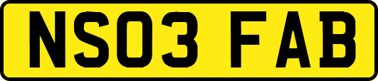 NS03FAB
