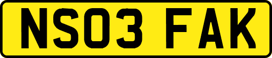 NS03FAK