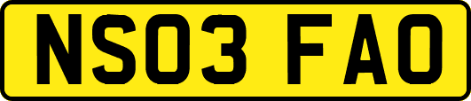 NS03FAO