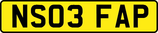 NS03FAP