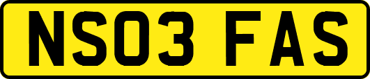 NS03FAS