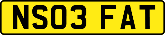 NS03FAT