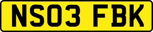 NS03FBK