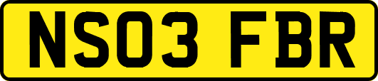 NS03FBR