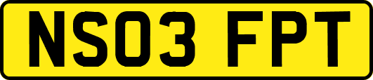 NS03FPT