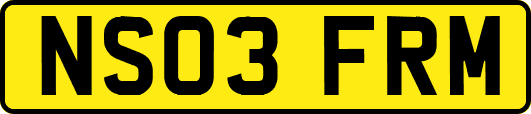 NS03FRM