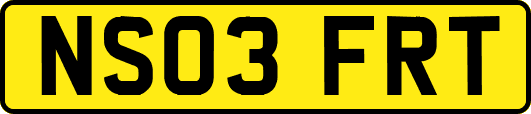 NS03FRT