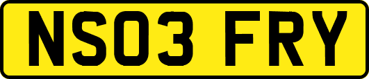 NS03FRY