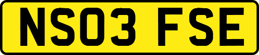 NS03FSE