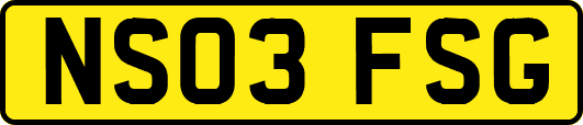 NS03FSG