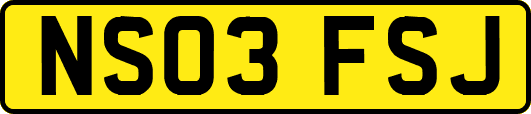 NS03FSJ