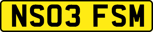 NS03FSM