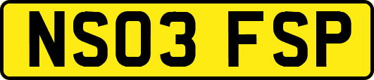 NS03FSP