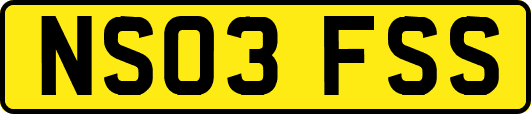 NS03FSS