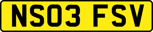 NS03FSV