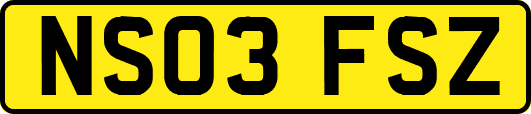NS03FSZ