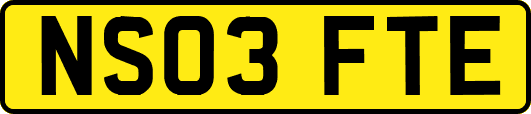 NS03FTE