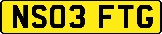 NS03FTG