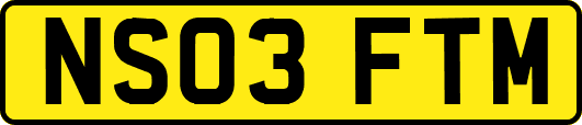 NS03FTM