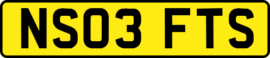 NS03FTS