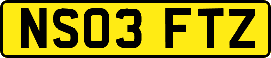 NS03FTZ