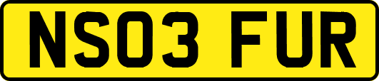 NS03FUR