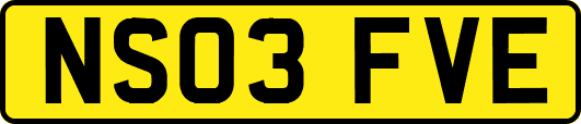NS03FVE